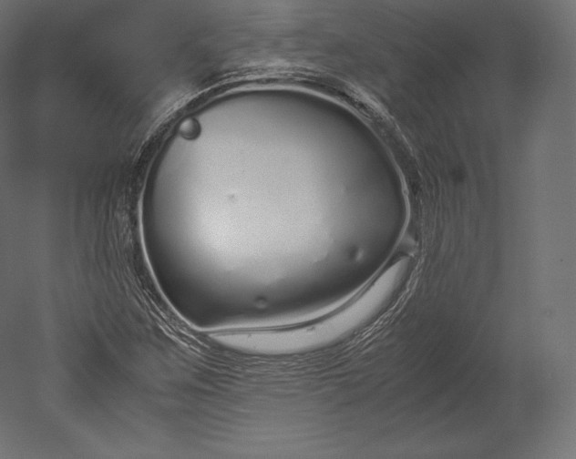 X0000051251259200507011643