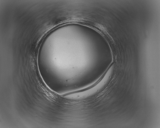 X0000051251260200507011643