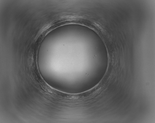 X0000051251261200507011643