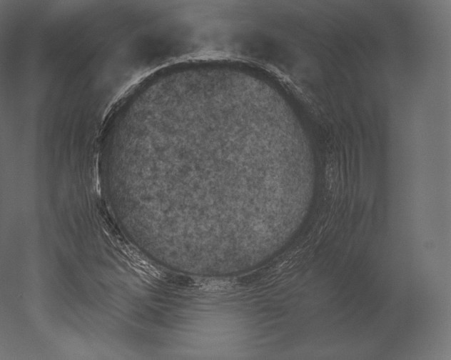 X0000051251262200507011643