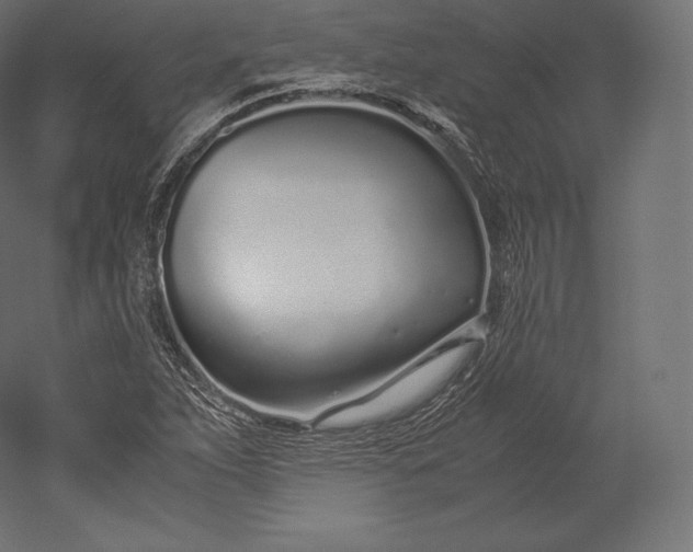 X0000051251263200507011643