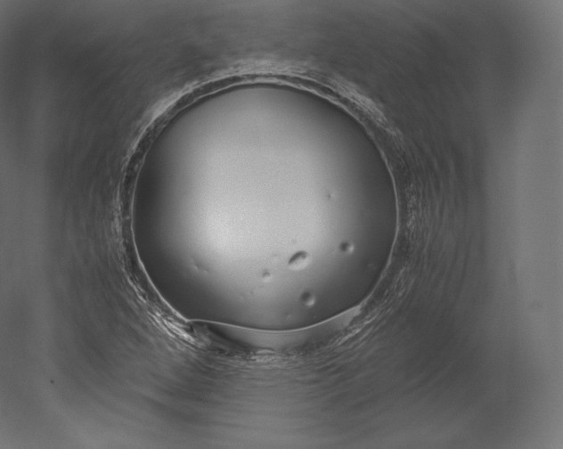 X0000051251264200507011643