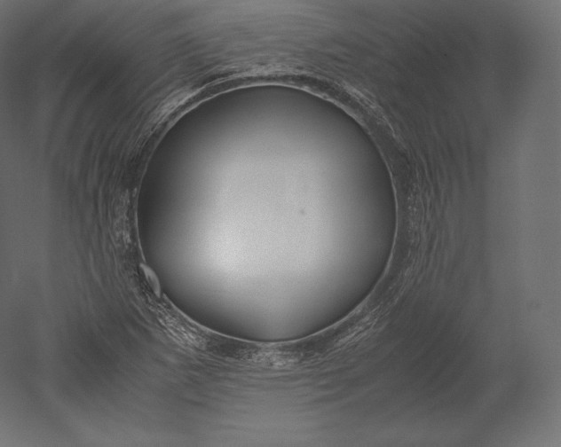 X0000051251265200507011643