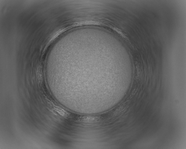 X0000051251266200507011643