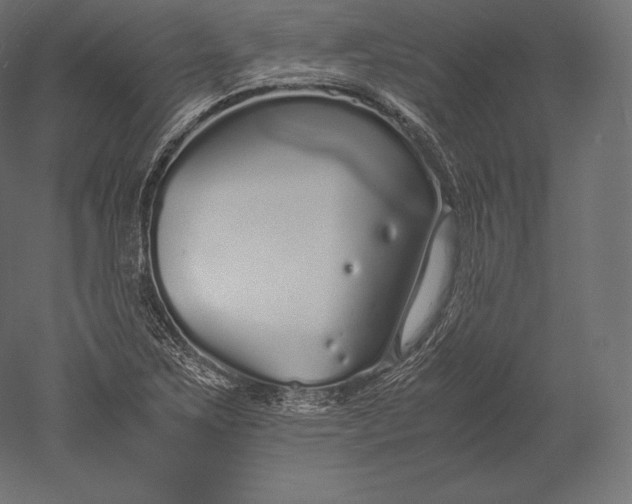 X0000051251267200507011643