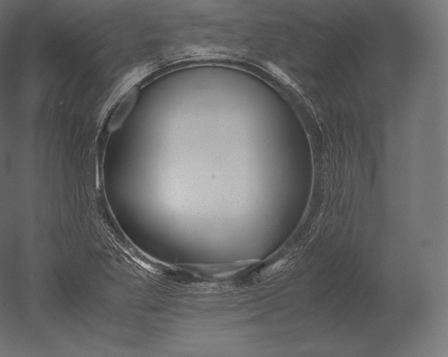 X0000051251269200507011643