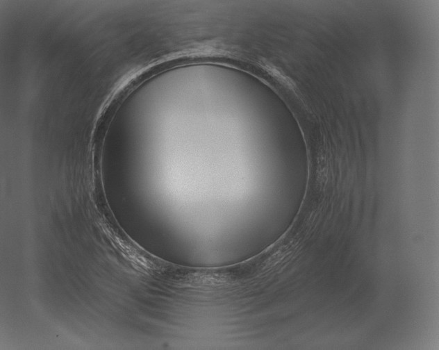 X0000051251270200507011643