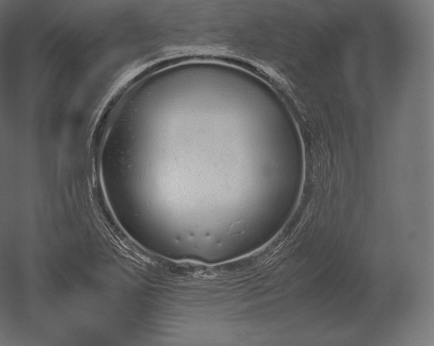 X0000051251271200507011643