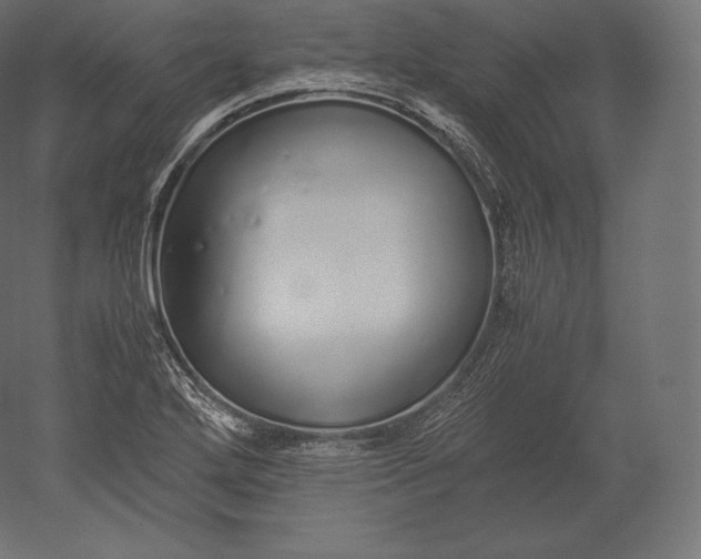 X0000051251272200507011643