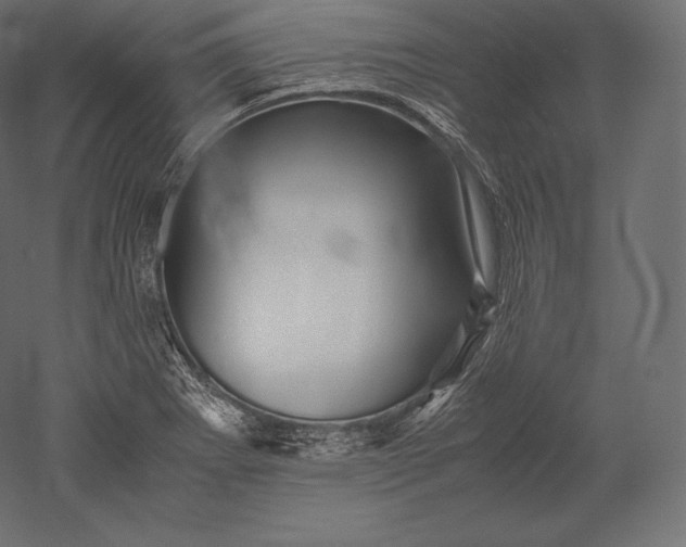 X0000051251273200507011643