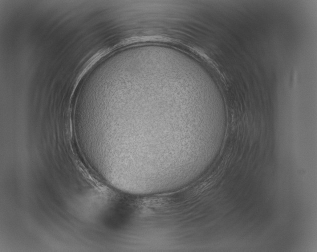 X0000051251274200507011643