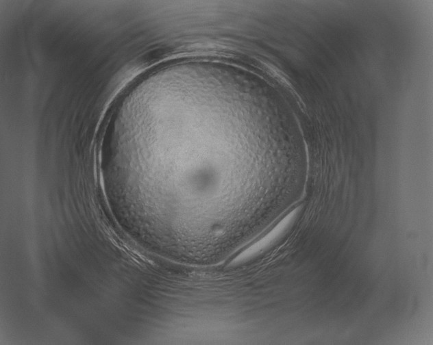 X0000051251275200507011643