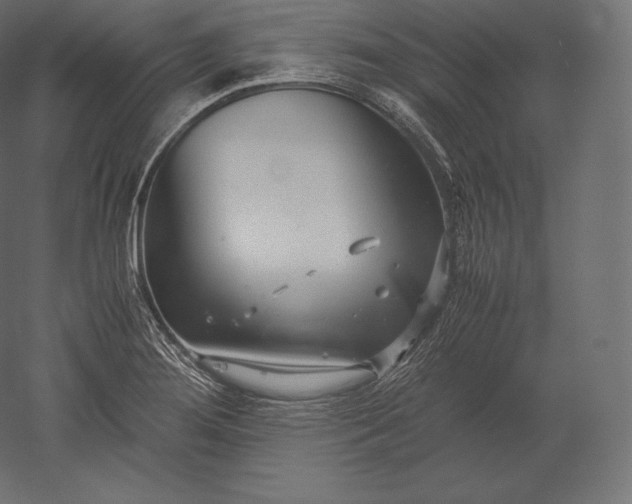 X0000051251276200507011643