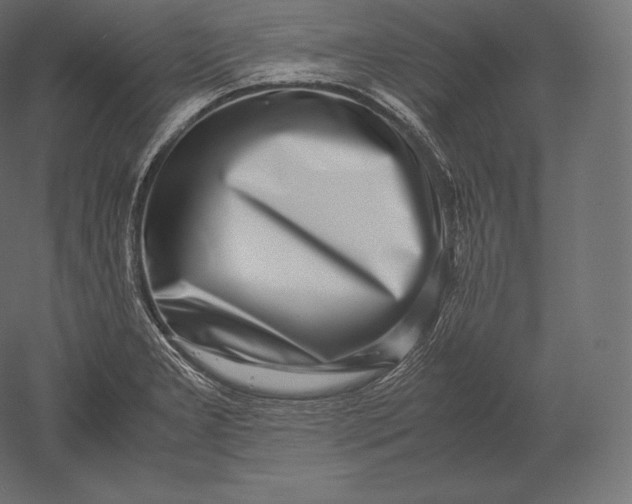 X0000051251277200507011643