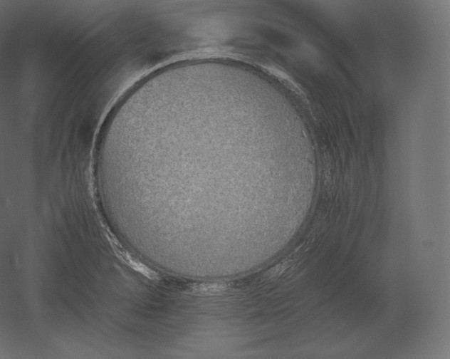 X0000051251278200507011643