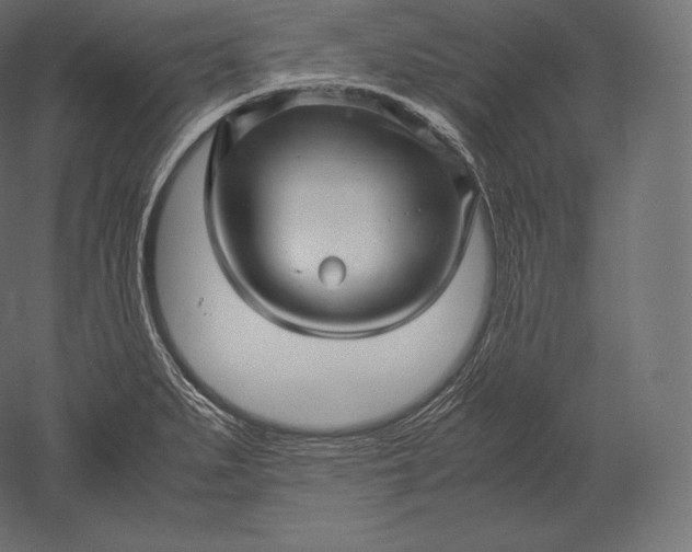 X0000051251279200507011643