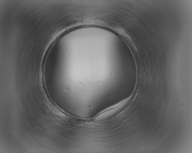 X0000051251280200507011643