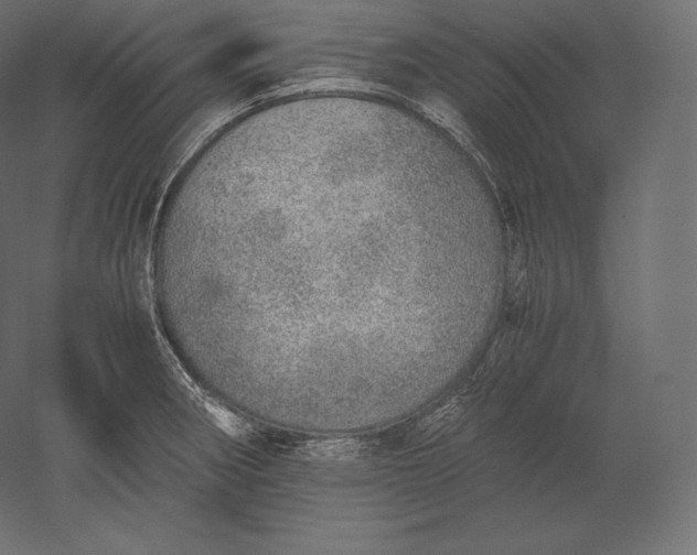 X0000051251282200507011642