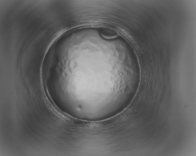 X0000051251283200507011642