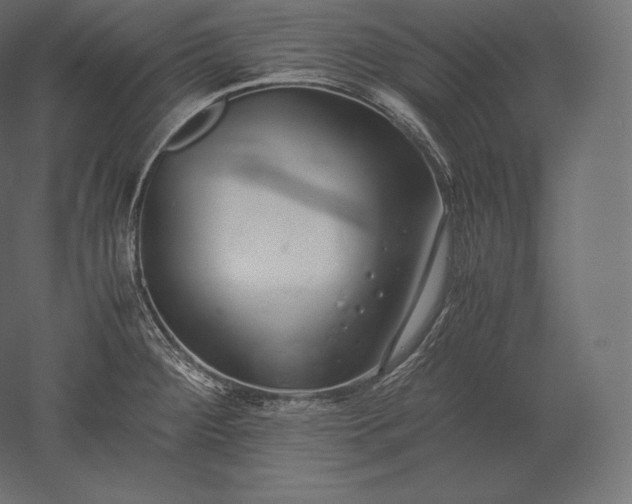 X0000051251284200507011642