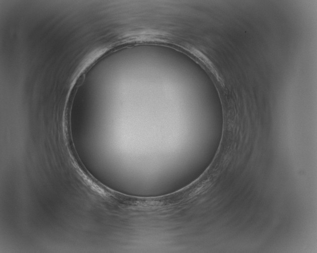 X0000051251285200507011642