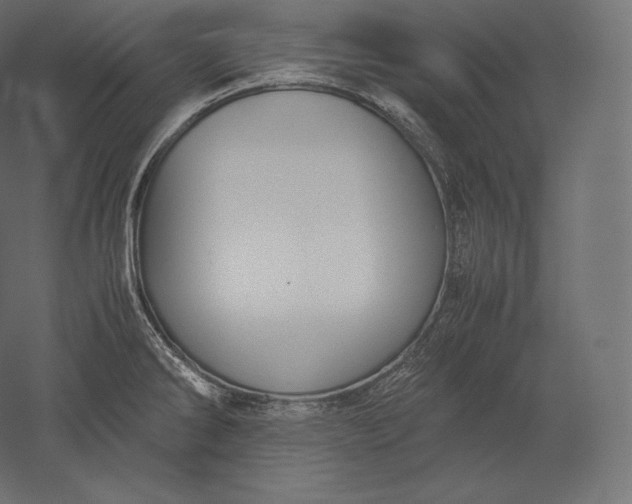 X0000051251286200507011642