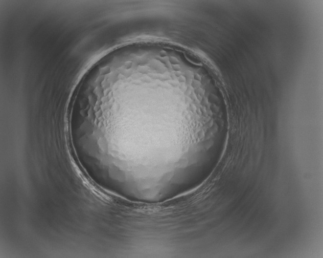 X0000051251287200507011642