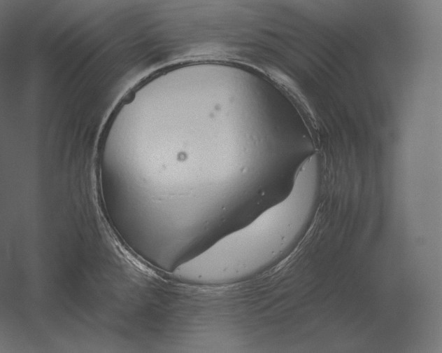 X0000051251288200507011642