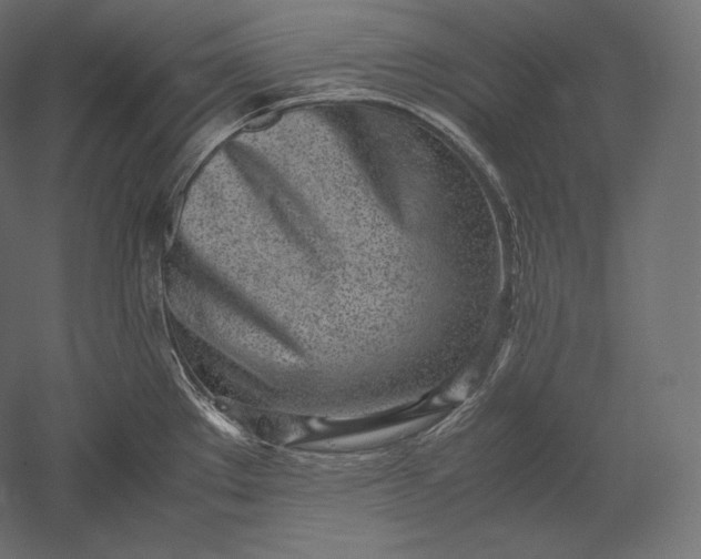 X0000051251289200507011642