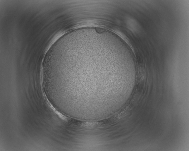 X0000051251290200507011642