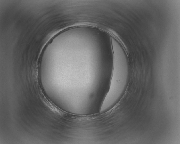 X0000051251292200507011642