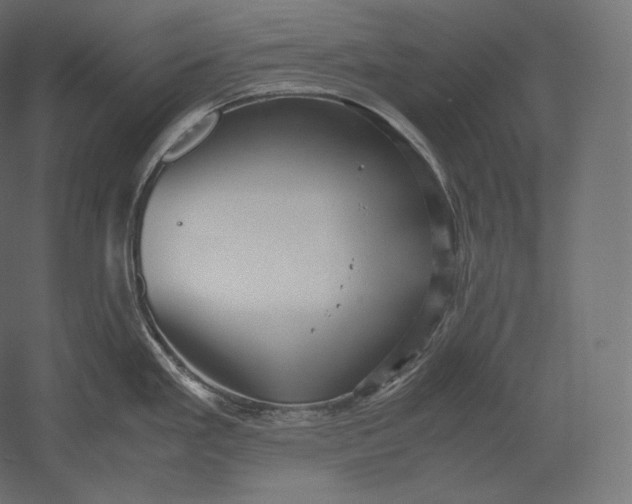 X0000051251293200507011642