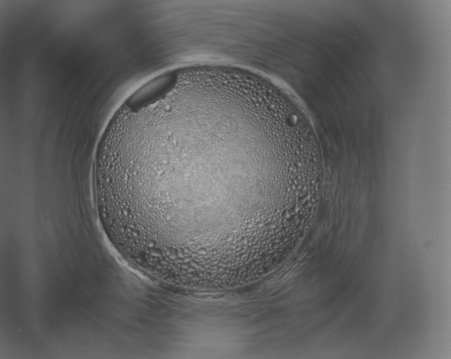 X0000051251295200507011642