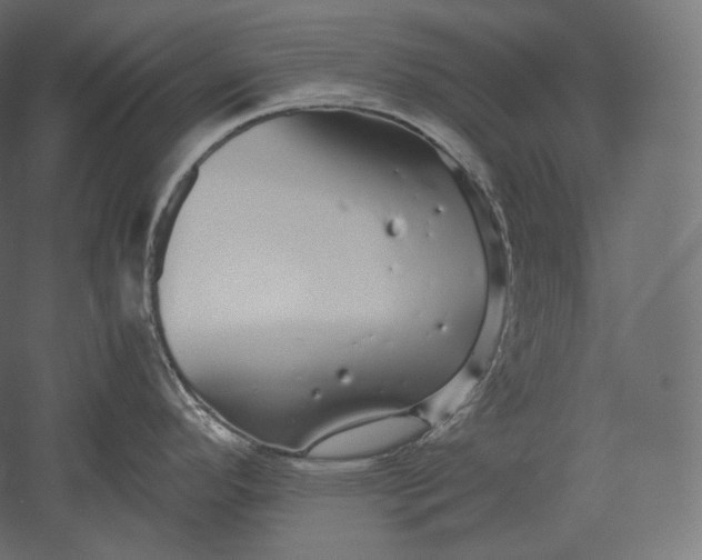 X0000051251296200507011642