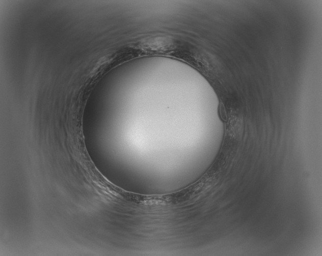 X0000051251297200507011641