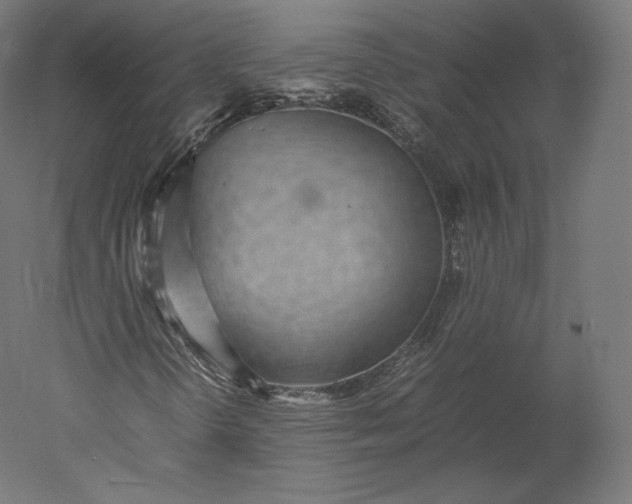 X0000051251298200507011641