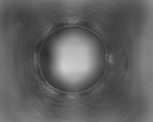 X0000051251299200507011641