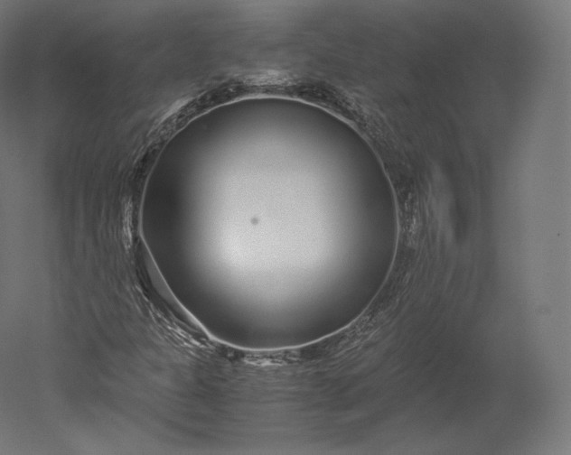 X0000051251301200507011642