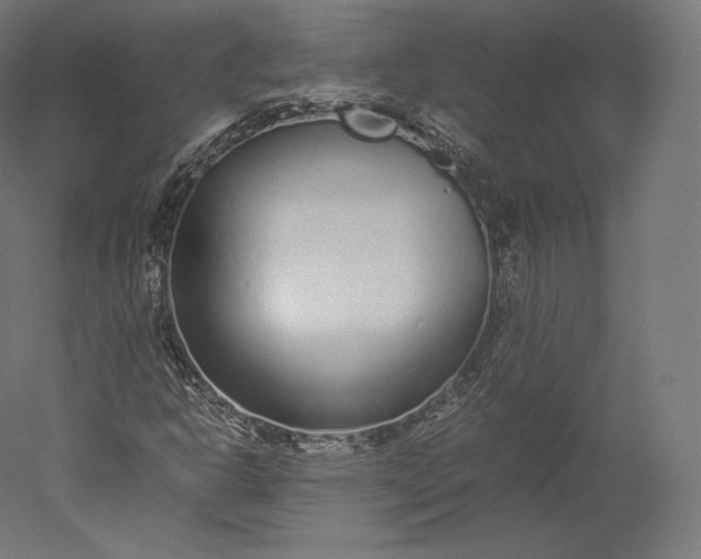 X0000051251302200507011642