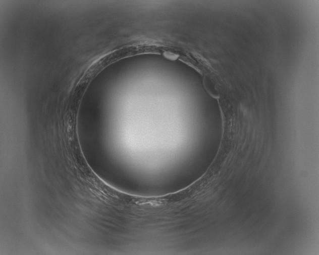 X0000051251303200507011642