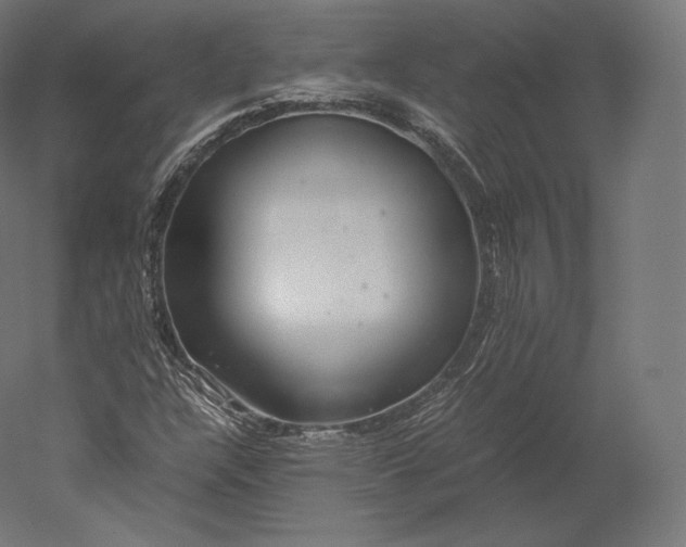 X0000051251304200507011642