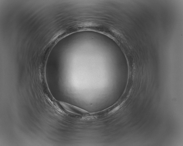 X0000051251305200507011642