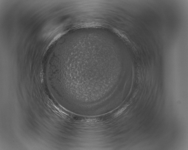 X0000051251306200507011642