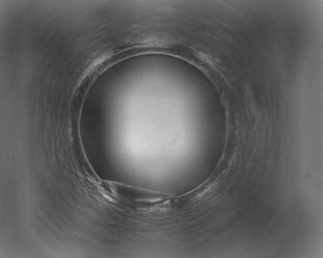 X0000051251307200507011642