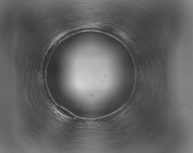 X0000051251308200507011642