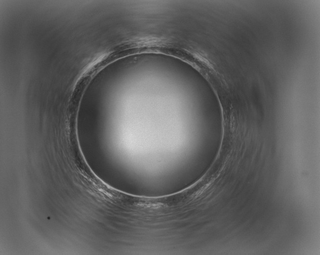 X0000051251309200507011642