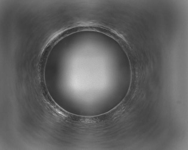 X0000051251311200507011642