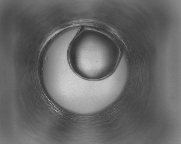 X0000051251312200507011642