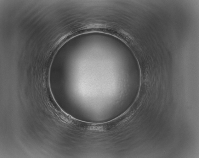 X0000051251313200507011642