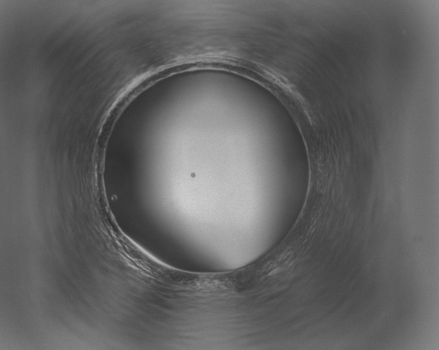 X0000051251316200507011642